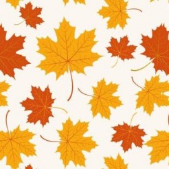 Autumn Yellow Leaves