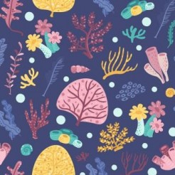 Strange Coral Group