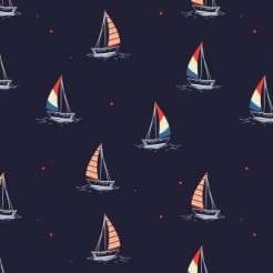 Night Sky Sailing Boat Sailing