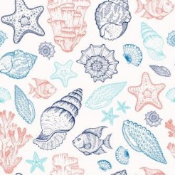 Coral Reef Shell Fish