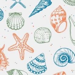 Starfish And Various Shellfish