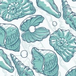 Shell Pearls