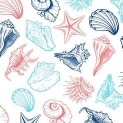Conch Shell Starfish