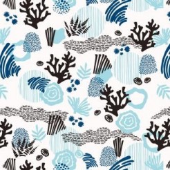 Coral In The Mysterious Sea