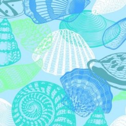 Abundant Sea Shells