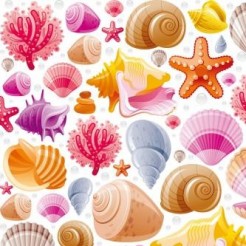 Bright Shell Coral Reef