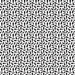 Black And White Shoe Footprints