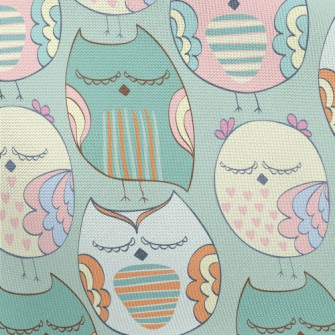 Delicately Colored Owl Pongee