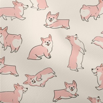 Naughty And Cute Corgi Dobby