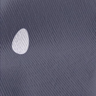 Swan And Goose Eggs Standard Corduroy