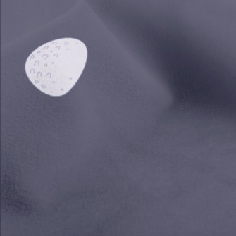 Swan And Goose Eggs Micro Fleece