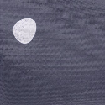 Swan And Goose Eggs Pongee