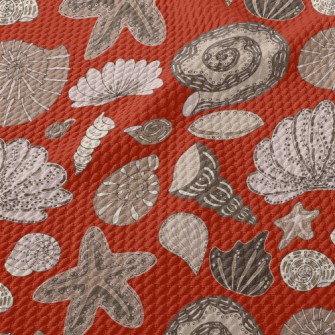 Mysterious Shellfish Fossils F Birdseye Piqué