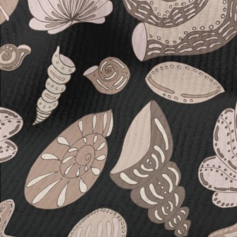 Seafloor Shell Fossils Terry