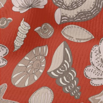 Mysterious Shellfish Fossils F Terry