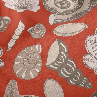 Mysterious Shellfish Fossils F Minky