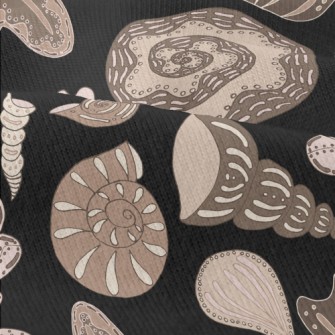 Seafloor Shell Fossils Modern Jersey
