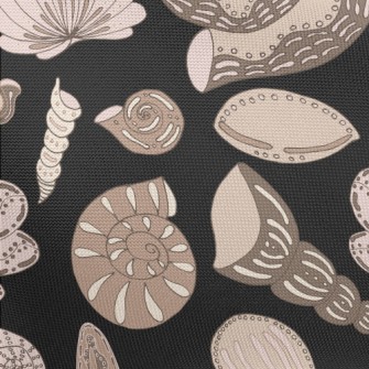 Seafloor Shell Fossils Pongee