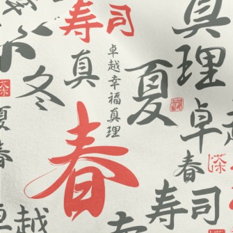 Chinese Characters With Callig Micro Fleece