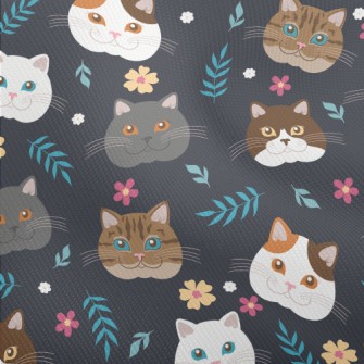 Cat Breed Big Head Dobby