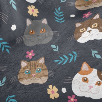 Cat Breed Big Head Minky