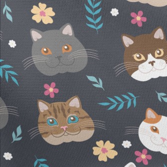 Cat Breed Big Head Pongee