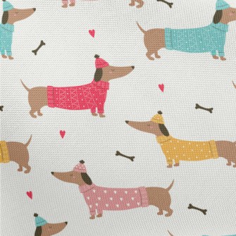 Dachshund Wearing Sweater Pongee