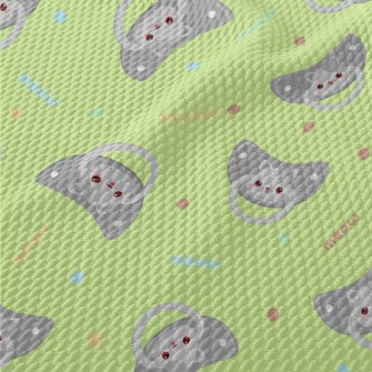 Baby Cat Pacifier Birdseye Piqué