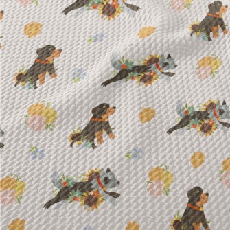 Cute Color Blocks Of Rottweile Birdseye Piqué