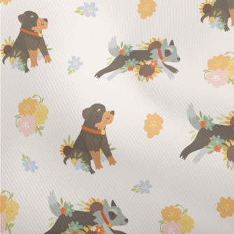 Cute Color Blocks Of Rottweile Dobby