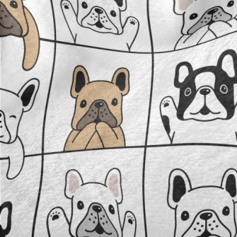 French Bulldog In Different Ac Minky