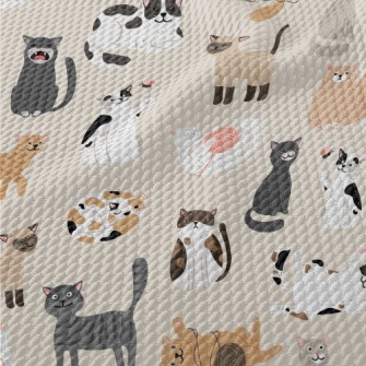 Various Cute Cats Birdseye Piqué
