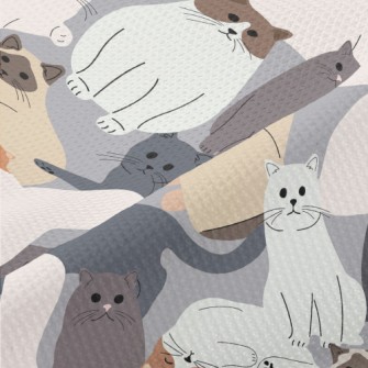 Hand Drawn Various Types Of Ca Piqué