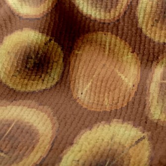 Stump Pattern Terry
