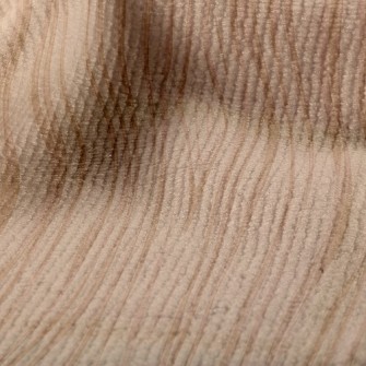 Tree Texture Terry