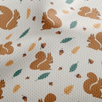 Fruit-eating Squirrel Athletic Mesh Flat Back