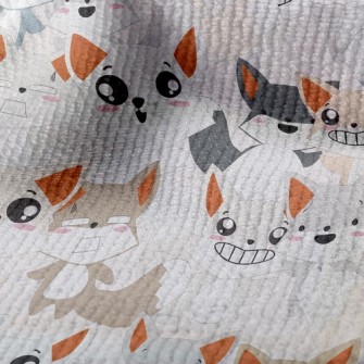 Fox With Ever-changing Express Terry