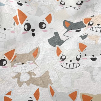 Fox With Ever-changing Express Minky