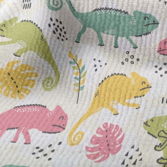 Smiling Chameleon Terry