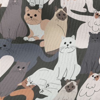 Cute Cats Of Various Breeds Terry