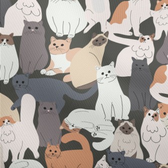 Cute Cats Of Various Breeds Dobby