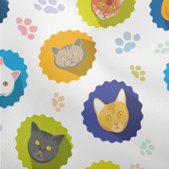 Different Cat Portraits Dobby