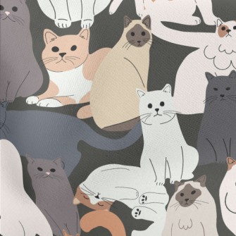 Cute Cats Of Various Breeds Stretch Ponte