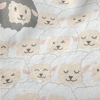 There Is A Black Sheep In The  Minky