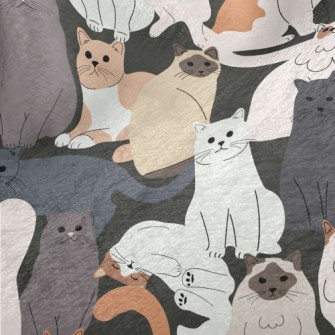 Cute Cats Of Various Breeds Minky