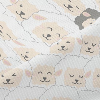 There Is A Black Sheep In The  Piqué