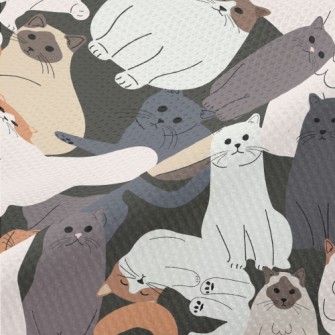 Cute Cats Of Various Breeds Piqué