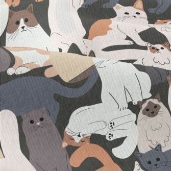 Cute Cats Of Various Breeds Modern Jersey