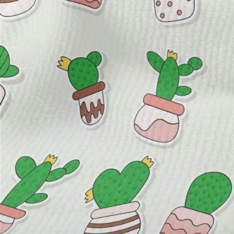 Succulent Cactus Potted Plants Terry