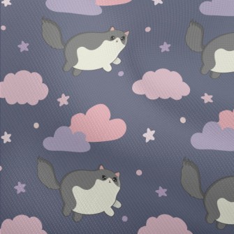 Kitten On The Cloud Dobby